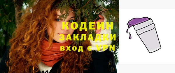 твердый Ельня