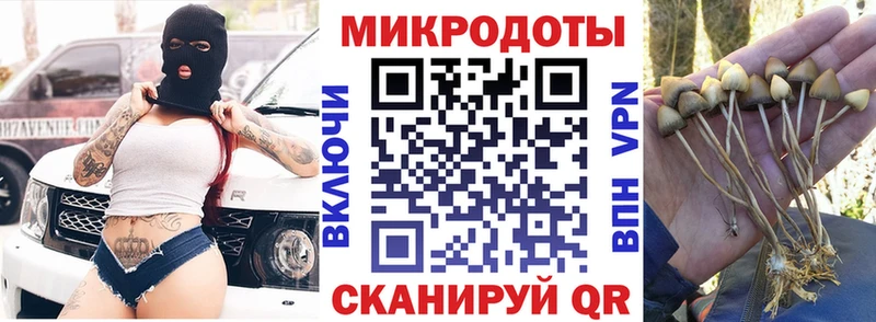 Псилоцибиновые грибы GOLDEN TEACHER  Котельниково 